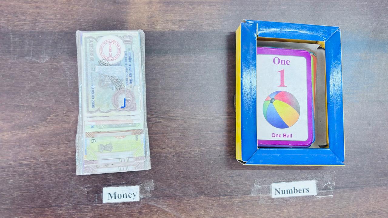 composite lab  MDS International school